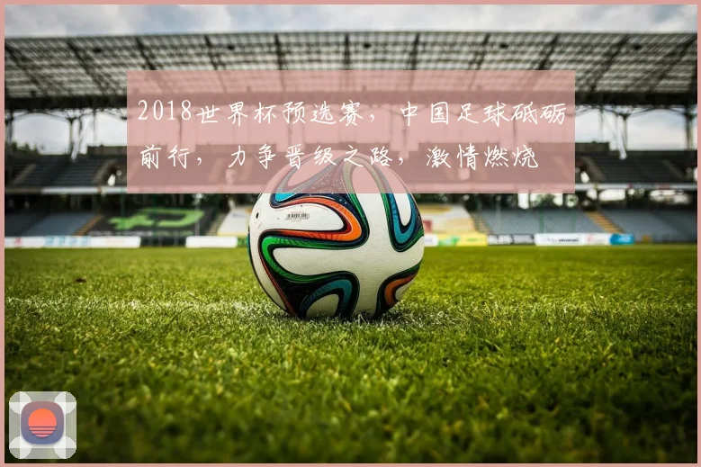 2018世界杯预选赛，中国足球砥砺前行，力争晋级之路，激情燃烧