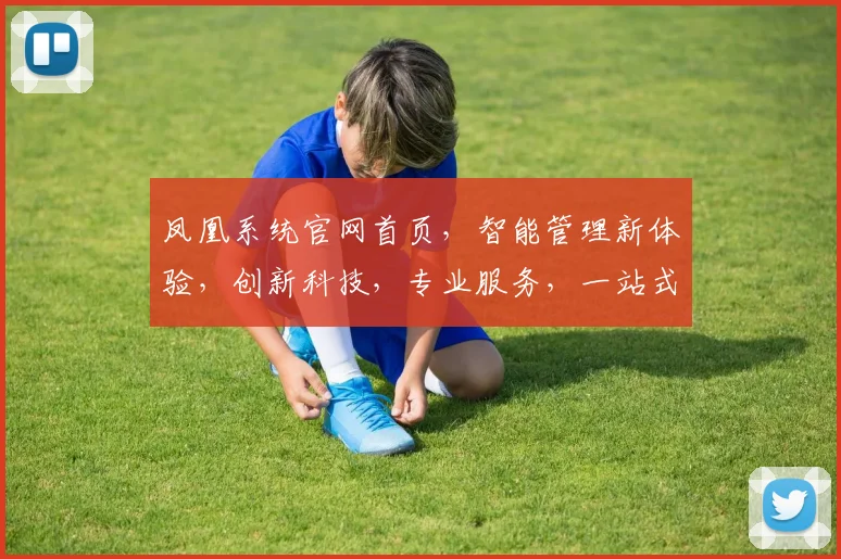 凤凰系统官网首页，智能管理新体验，创新科技，专业服务，一站式解决方案，领先行业，必看首选